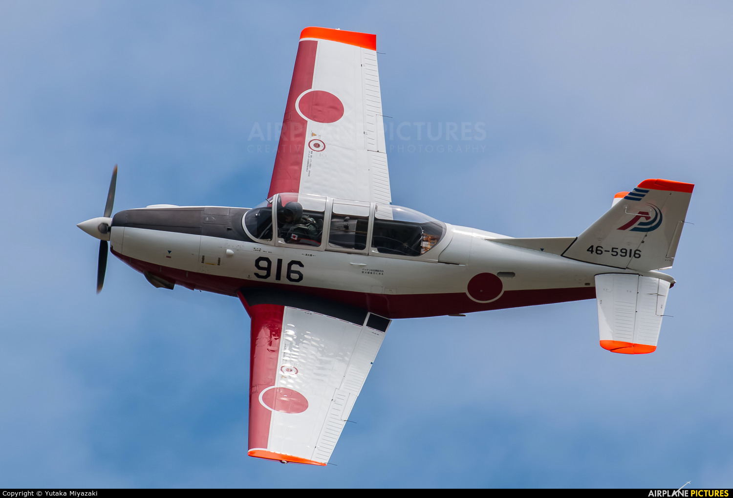 フリーセレクショントロフィー TRZ-4371A 高さ615mm【種目を選べる・短納期】｜123トロフィー FujiPrize・Ｔトロフィー T-4887